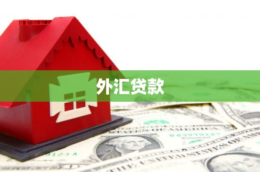 壶关外汇贷款
