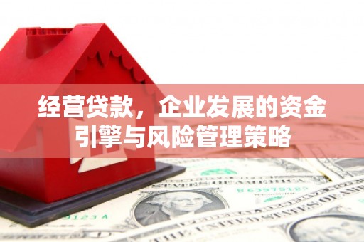 壶关经营贷款，企业发展的资金引擎与风险管理策略