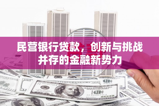 壶关民营银行贷款，创新与挑战并存的金融新势力