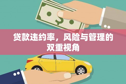壶关贷款违约率，风险与管理的双重视角
