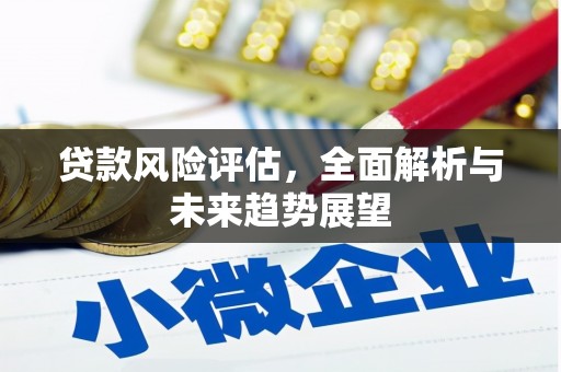 壶关贷款风险评估，全面解析与未来趋势展望