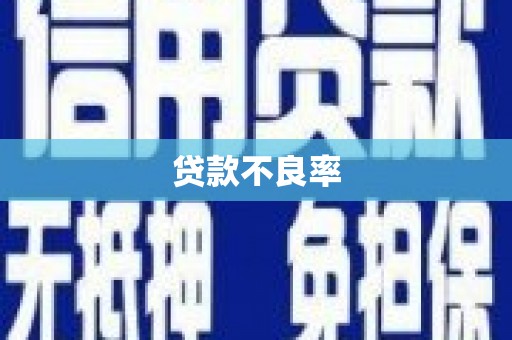 壶关贷款不良率