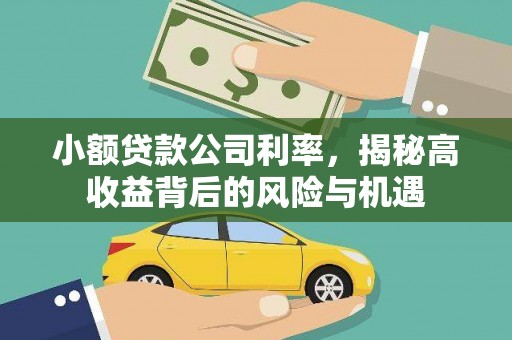 壶关小额贷款公司利率，揭秘高收益背后的风险与机遇