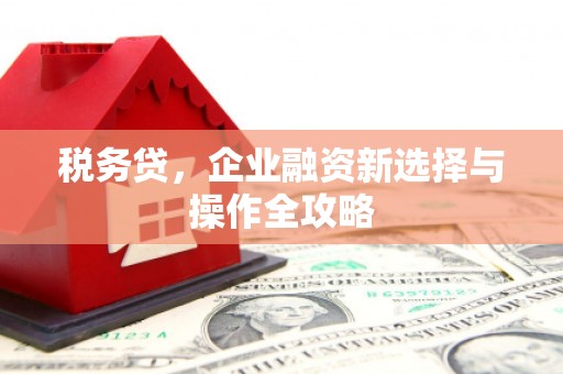 壶关税务贷，企业融资新选择与操作全攻略