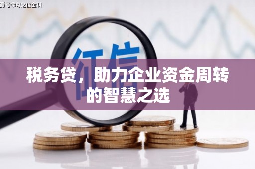 壶关税务贷，助力企业资金周转的智慧之选