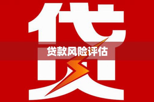 壶关贷款风险评估