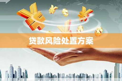 壶关贷款风险处置方案