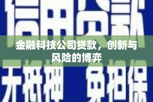壶关金融科技公司贷款，创新与风险的博弈