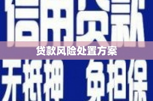 壶关贷款风险处置方案