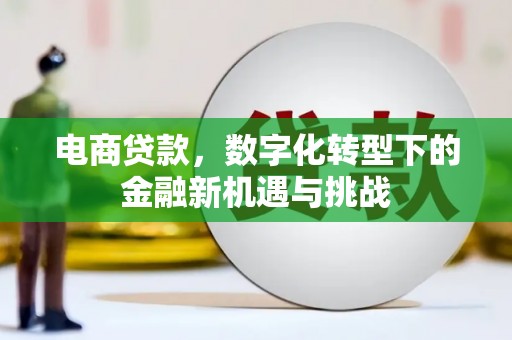 壶关电商贷款，数字化转型下的金融新机遇与挑战