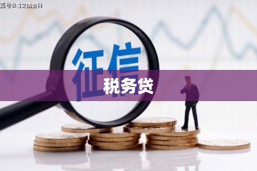 壶关税务贷