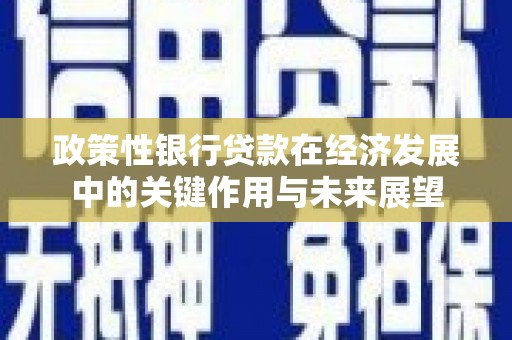 壶关政策性银行贷款在经济发展中的关键作用与未来展望