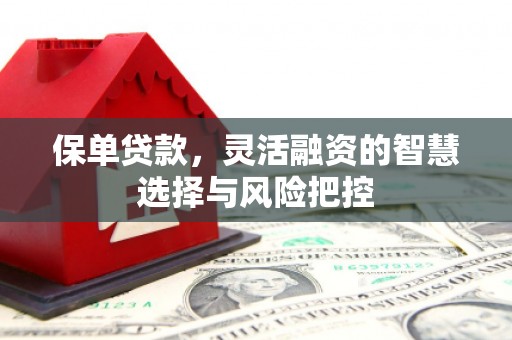 壶关保单贷款，灵活融资的智慧选择与风险把控