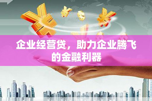 壶关企业经营贷，助力企业腾飞的金融利器