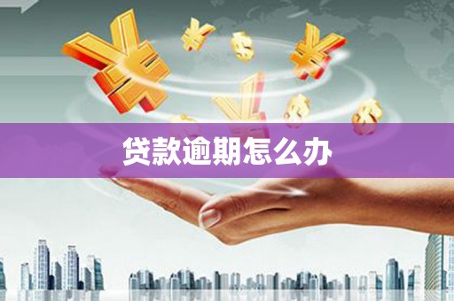 壶关贷款逾期怎么办