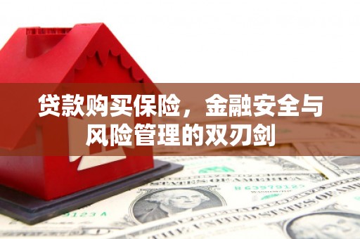 壶关贷款购买保险，金融安全与风险管理的双刃剑
