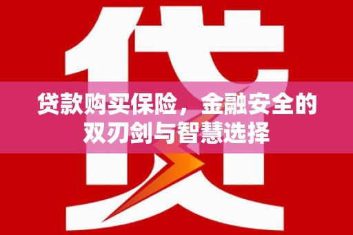 壶关贷款购买保险，金融安全的双刃剑与智慧选择