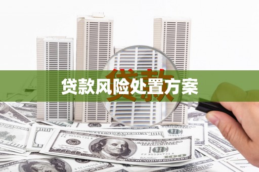 壶关贷款风险处置方案