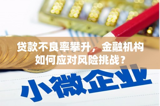 壶关贷款不良率攀升，金融机构如何应对风险挑战？