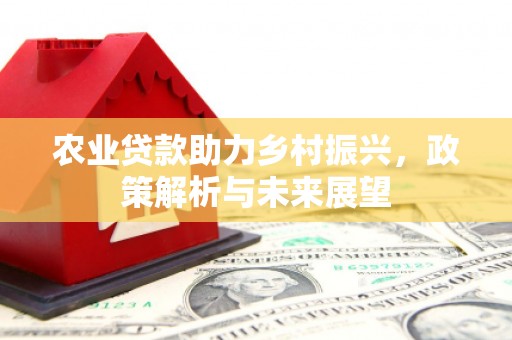壶关农业贷款助力乡村振兴，政策解析与未来展望