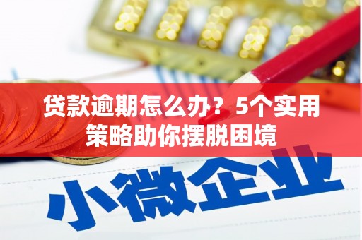 壶关贷款逾期怎么办？5个实用策略助你摆脱困境
