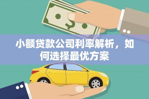 壶关小额贷款公司利率解析，如何选择最优方案