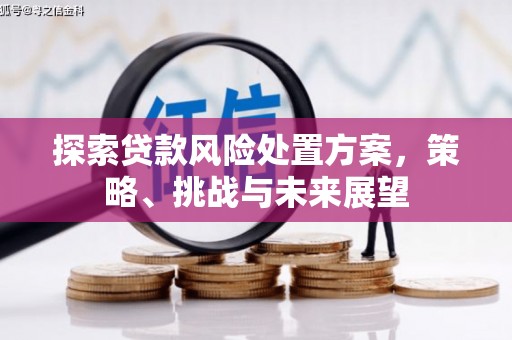 壶关探索贷款风险处置方案，策略、挑战与未来展望