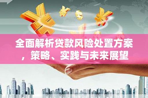 壶关全面解析贷款风险处置方案，策略、实践与未来展望