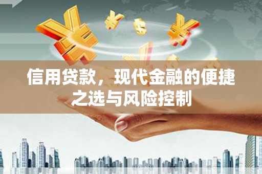 壶关信用贷款，现代金融的便捷之选与风险控制
