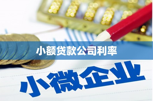 壶关小额贷款公司利率
