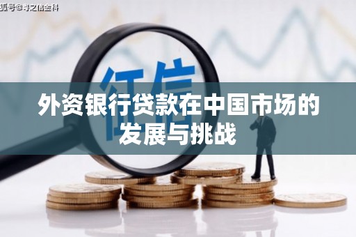 壶关外资银行贷款在中国市场的发展与挑战