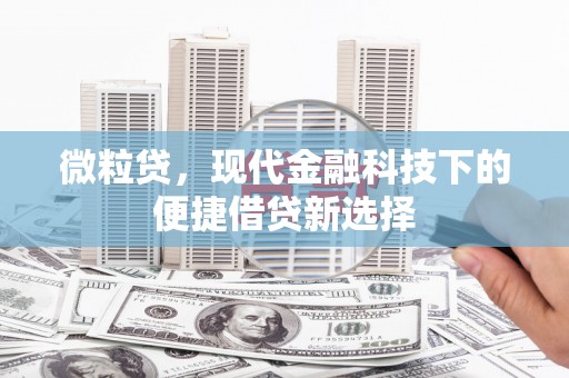 壶关微粒贷，现代金融科技下的便捷借贷新选择