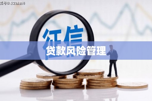 壶关贷款风险管理