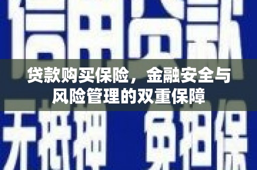 壶关贷款购买保险，金融安全与风险管理的双重保障