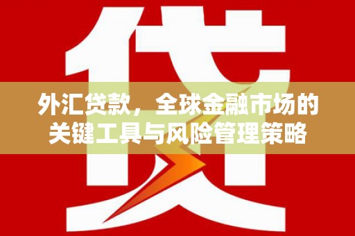壶关外汇贷款，全球金融市场的关键工具与风险管理策略