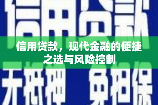 壶关信用贷款，现代金融的便捷之选与风险控制