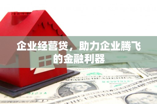 壶关企业经营贷，助力企业腾飞的金融利器
