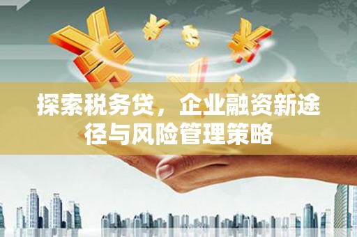 壶关探索税务贷，企业融资新途径与风险管理策略