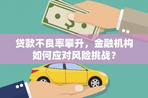 壶关贷款不良率攀升，金融机构如何应对风险挑战？