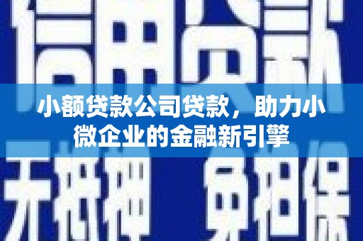 壶关小额贷款公司贷款，助力小微企业的金融新引擎