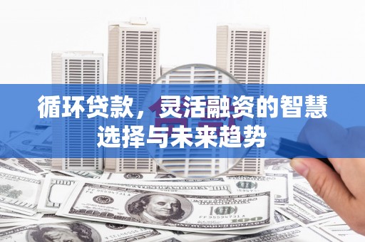 壶关循环贷款，灵活融资的智慧选择与未来趋势