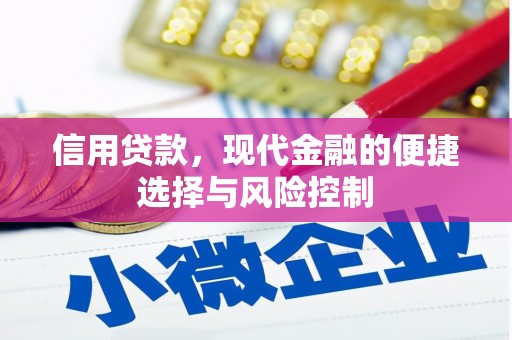 壶关信用贷款，现代金融的便捷选择与风险控制