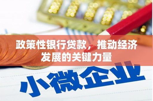 壶关政策性银行贷款，推动经济发展的关键力量