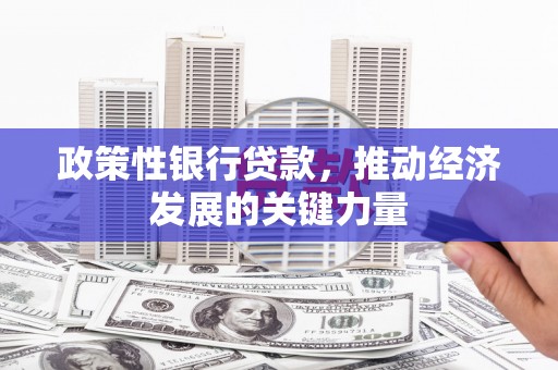 壶关政策性银行贷款，推动经济发展的关键力量
