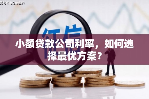 壶关小额贷款公司利率，如何选择最优方案？