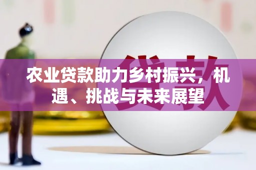 壶关农业贷款助力乡村振兴，机遇、挑战与未来展望