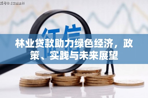 壶关林业贷款助力绿色经济，政策、实践与未来展望