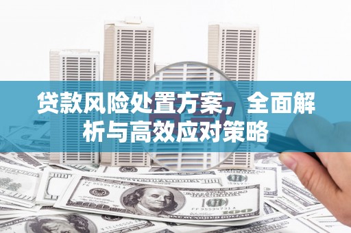 壶关贷款风险处置方案，全面解析与高效应对策略