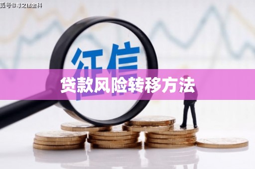 壶关贷款风险转移方法