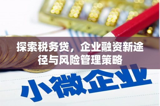 壶关探索税务贷，企业融资新途径与风险管理策略
